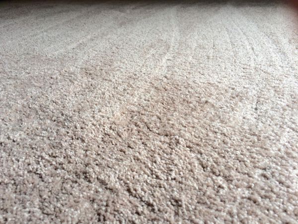 Plush Carpet Installation in Orange